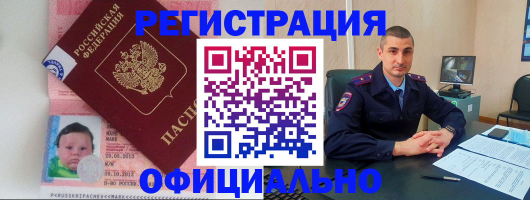 прописка поиск в Волоколамске